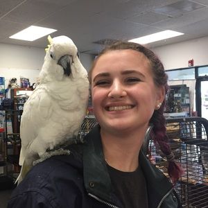 Meet your Posher, Grace